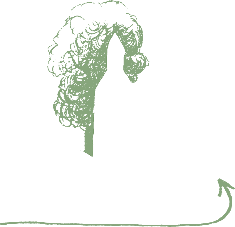 Galerie pod kapličkou